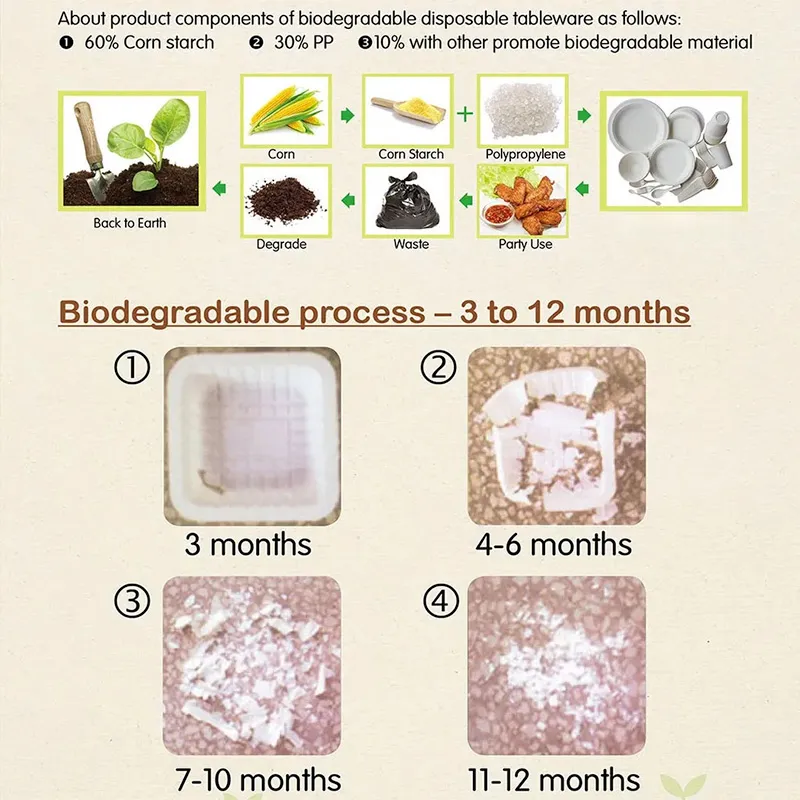 Biodegradable Process SOP