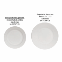 Biodegradable Sugarcane Round Plate