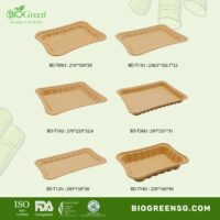 Biogreen Sugarcane Upgraded Freezer Tray Series