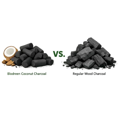 coconut vs normal charcoal