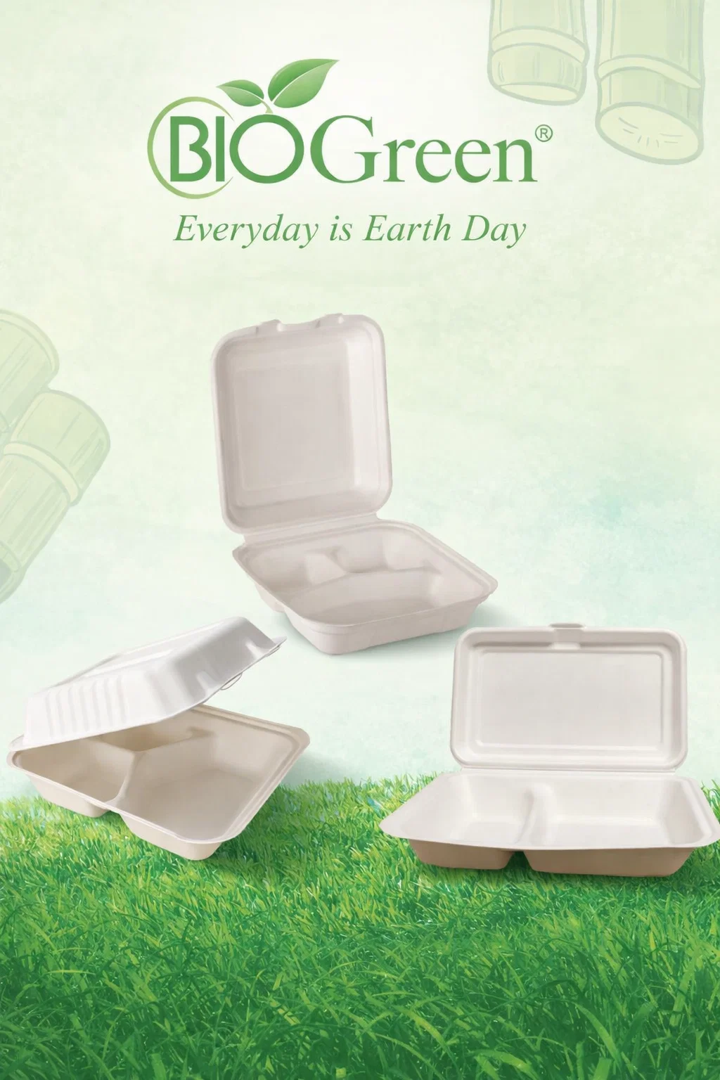 sugarcane packaging