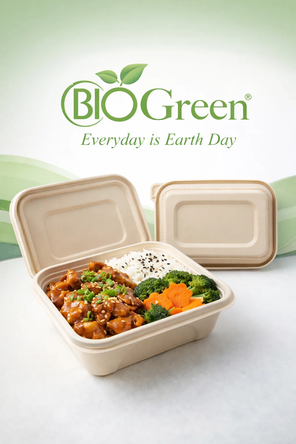 food packaging bento